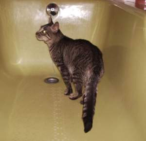 Lucky Bild von Lucky