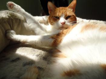 Judith Bild von Judith