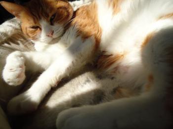 Judith Bild von Judith