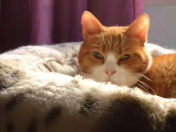 Judith Bild von Judith