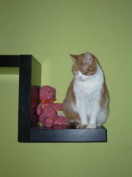 Judith Bild von Judith