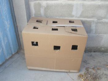 Ohne Namen 5105 Bild von Trick