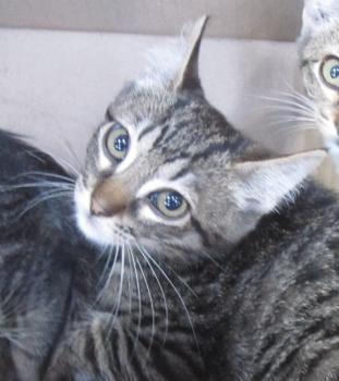 Ohne Namen 5105 Bild von Trick