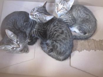 Ohne Namen 5105 Bild von Trick