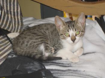 Bild von Mijou