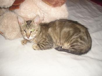 Olivia Bild von Olivia