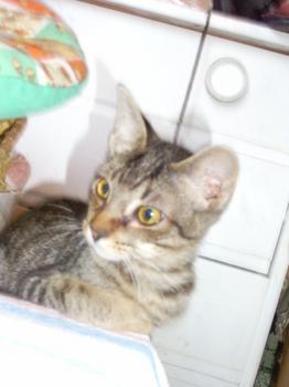 Tita Bild von Tita