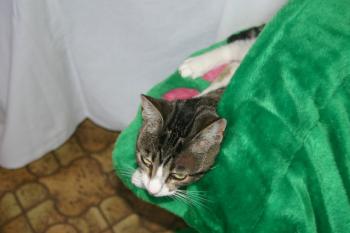 Prinz Bild von Prinz