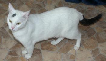 Tartufo Bild von Tartufo
