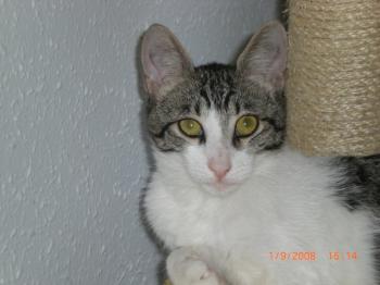 Irina Bild von Irina