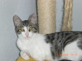 Irina Bild von Irina