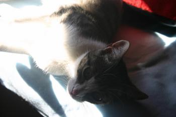 Prinz Bild von Prinz