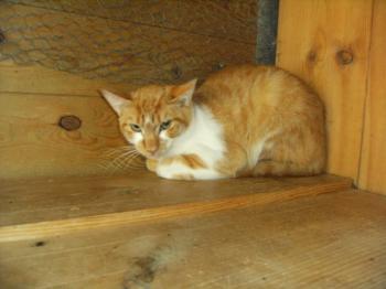 Filippo Bild von Filippo