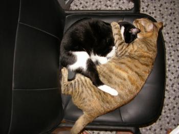 Estela und Mairna Bild von Marian