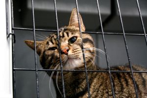 George Bild von George