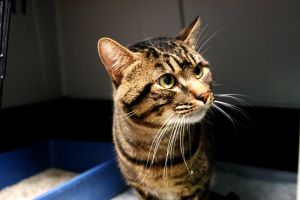 George Bild von George