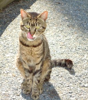 George Bild von George