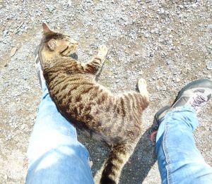 George Bild von George