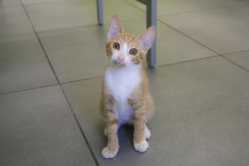 Brody Bild von Brody