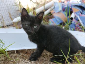 Pancho Bild von Pancho