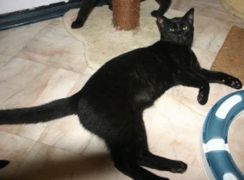 Konstantin Bild von Konstantin