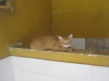 Bild von Felipe