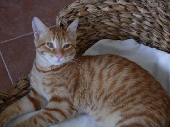 Bild von Felipe
