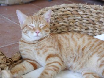 Bild von Felipe