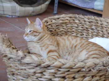 Bild von Felipe