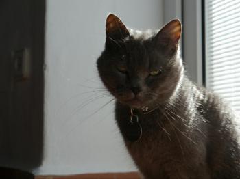 Lola Bild von Lola