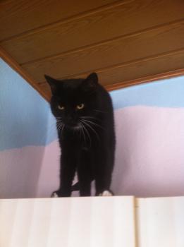 Lucy Bild von Lucy