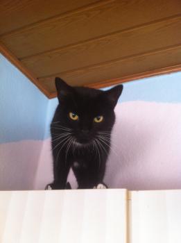 Lucy Bild von Lucy