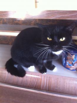 Lucy Bild von Lucy