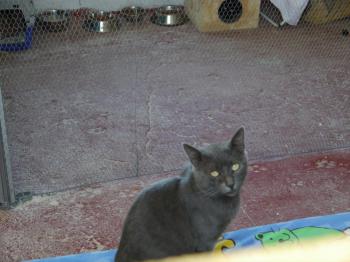 Willy Bild von Willy
