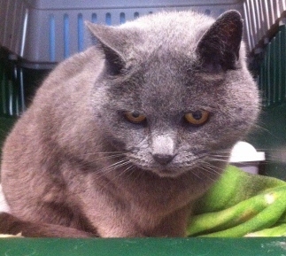 Bild von Teddy