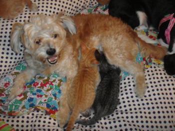 Happy Pingu Bild von Happy