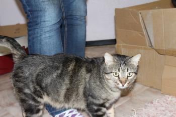 Felix Bild von Felix