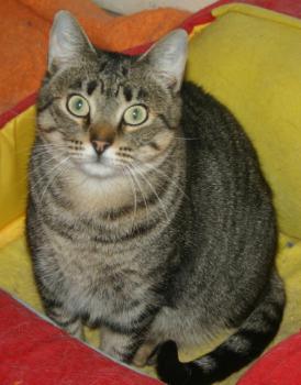 Gipsy-Mimi Bild von Gipsy-Mimi