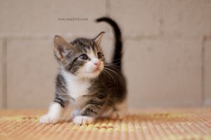 Kevin Bild von Kevin