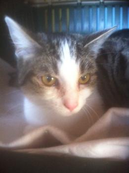 Hanni Bild von Hanni
