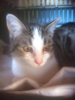 Hanni Bild von Hanni