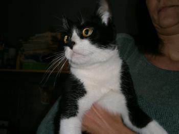 Chispita Bild von Chispita