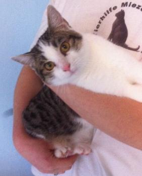 Hanni Bild von Hanni