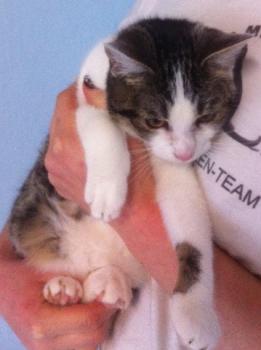 Hanni Bild von Hanni