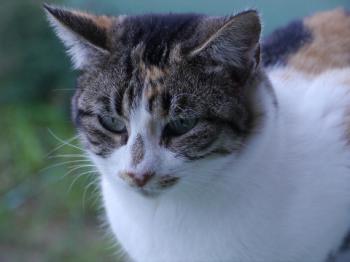 Lotte Bild von Lotte