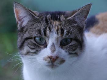 Lotte Bild von Lotte
