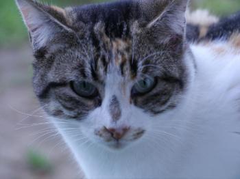 Lotte Bild von Lotte