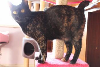 Penny Bild von Penny