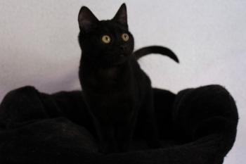 Hannes Bild von Hannes