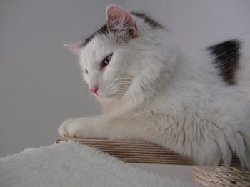 Buddy Bild von Buddy